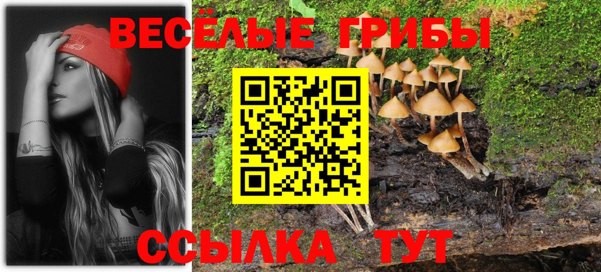 Галлюциногенные грибы GOLDEN TEACHER Арсеньев